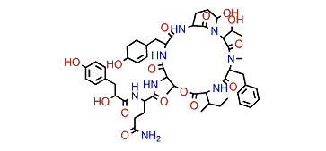 Aeruginopeptin 228B